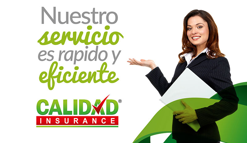 6 Pasos para Abrir una Compañía LLC en EE.UU. | Calidad Insurance