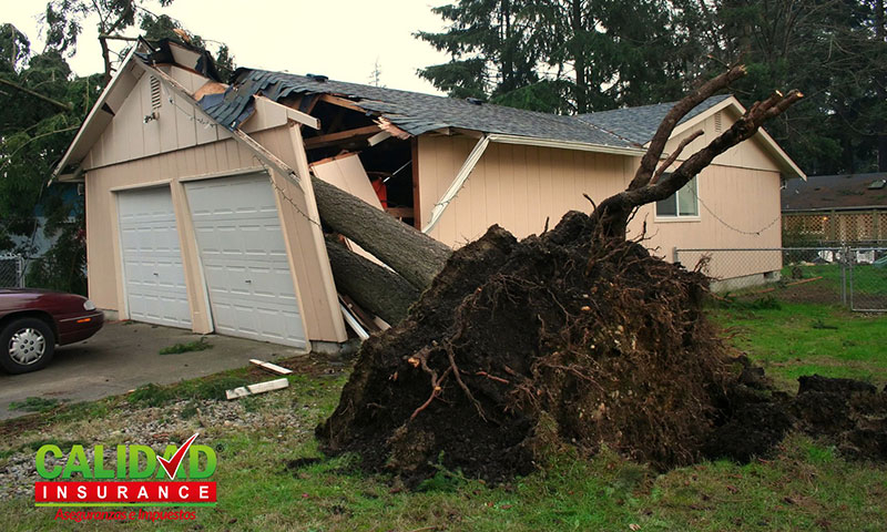 Severe Weather & Home Insurance Coverage | Calidad Insurance - Auto, Home & Commercial Quality Insurance Agency