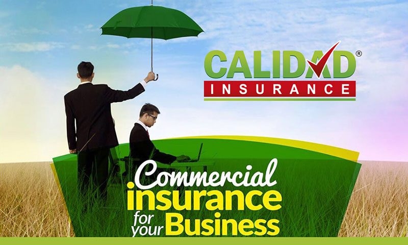 ¿Qué es el Seguro Paraguas? Protección de Responsabilidad | Calidad Insurance